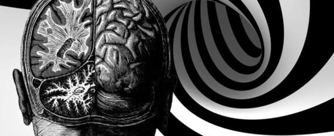 Esquizoanálisis: una propuesta teórica y clínica posmoderna